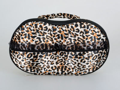 

Lifestyle-You Lingerie Storage Case, Travel Case(Bra and Panty, Pack of 1)