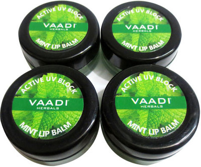 

Vaadi Herbals Value Pack of 4 Lip Balm Mint(Pack of: 4, 10 g)