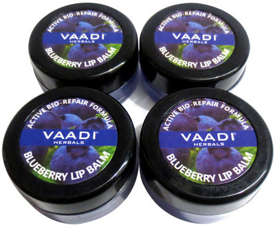 

Vaadi Herbals Value Pack of 4 Lip Balm-Blueberry Berry Flavor(Pack of: 4, 10 g)