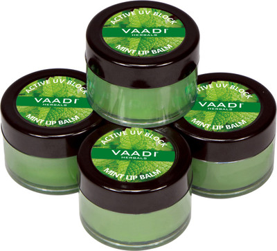

Vaadi Herbals LIP BALM Mint(Pack of: 4, 10 g)