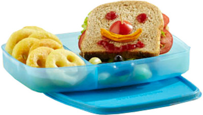 

Signoraware 506 1 Containers Lunch Box(610 ml), Blue