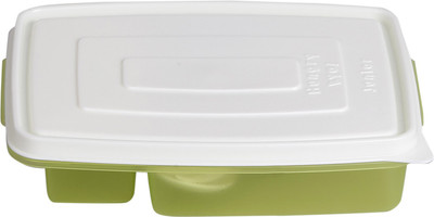Brecken Paul with Spoon and Fork 2 Containers Lunch Box(500 ml), Green
