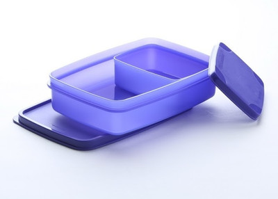 Signoraware Compact Lunch Box Small - Violet 2 Containers Lunch Box(700 ml)