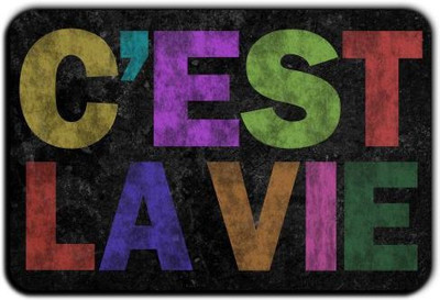 

Posterboy C'est La Vie-This is life Fridge Magnet Pack of 1(Multicolor)