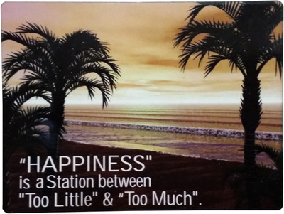 

Fabionic "HAPPINESS" is a station between "Too Little" & "Too Much" Fridge Magnet Pack of 1