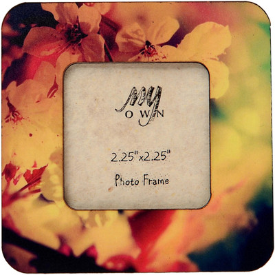 

My Own Flora Fridge Magnet Pack of 1(Multicolor)