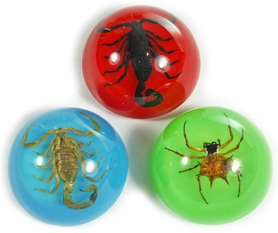 

REALBUG