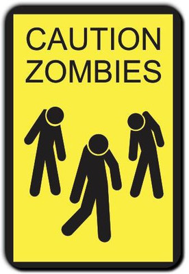

Posterboy Caution - Zombies Fridge Magnet Pack of 1(Multicolor)