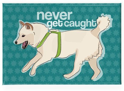

Pop Doggie