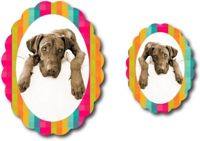 NOURiSH Oval Photo Frame Fridge Magnet Pack of 2