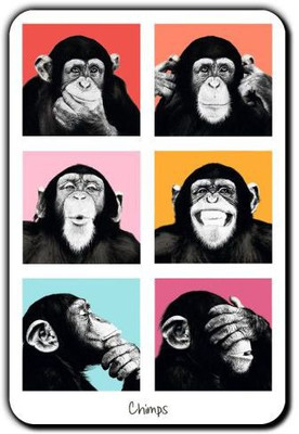 

Posterboy Chimps Fridge Magnet Pack of 1(Multicolor)
