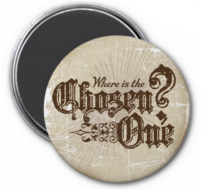 

Warner Bros. Harry Potter Chosen One Fridge Magnet Pack of 1(Multicolor)