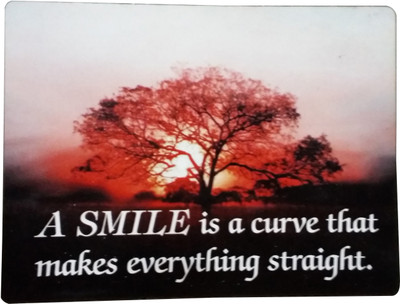 

Fabionic A SMILE is a curve that makes everything straight. Fridge Magnet Pack of 1
