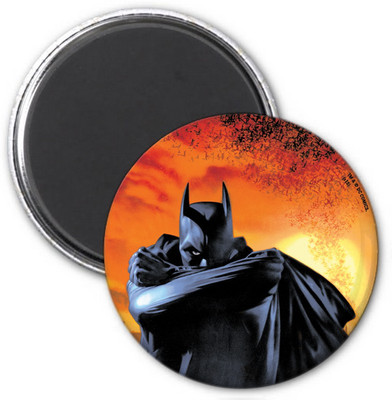 

Warner Bros. Batman -cape Fridge Magnet Pack of 1(Multicolor)