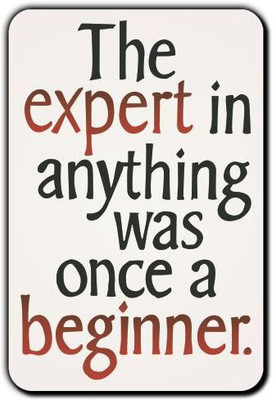 

Posterboy Expert - Beginner Fridge Magnet Pack of 1(Multicolor)