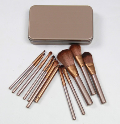 

Lifestyle-You Makeup Brush Set with Box(Pack of 12)