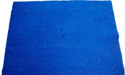 

Ritika Carpets Plastic Door Mat(Blue, Extra Large)