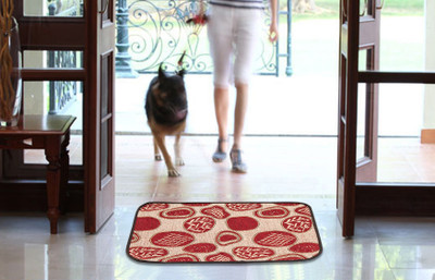 

MY HOUSE Polyester Door Mat(Multicolor