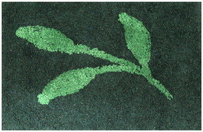 

IWS Cotton Door Mat(Multicolor