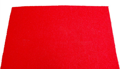 

Ritika Carpets Plastic Door Mat(Red