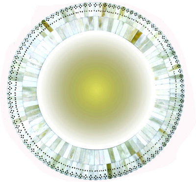 

Akanksha Arts Mother of Pearl Round Decorative Mirror(Round)
