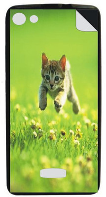 

Techno Gadgets dasd 13092016-060 xolo A500s lite Mobile Skin(Multicolor)