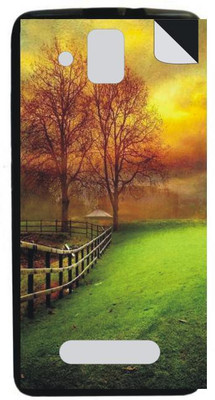 

Techno Gadgets dsft 19092016-247 XOLO Q2000 Mobile Skin(Multicolor)