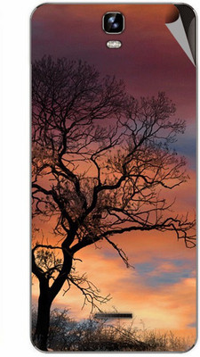 

MiiCreations MMXA190-MS-00270 Micromax Canvas HD Plus A190 Mobile Skin(Multicolor)