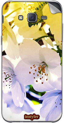 

instyler DS3440 SAMSUNG GALAXY J2 Mobile Skin(MULTICOLOR)