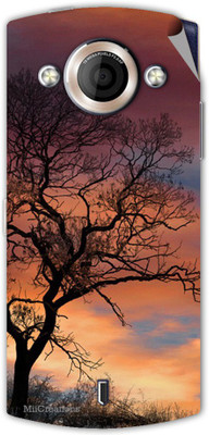 

MiiCreations MMXA255-MS-00270 Micromax Canvas Selfie A255 Mobile Skin(Multicolor)