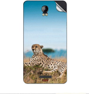 

instyler DS52982 Intex Aqua Q1 Mobile Skin(Multicolor)