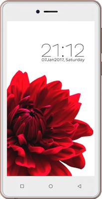 Zen Cinemax 4G (Rose &amp; Gold, 16 GB)