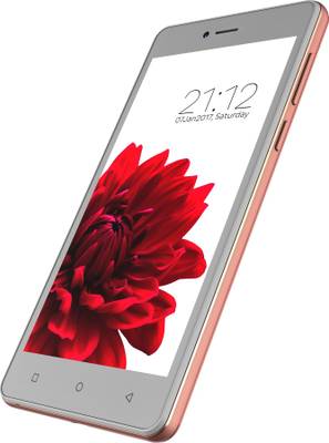 Zen Cinemax 4G (Rose &amp; Gold, 16 GB)
