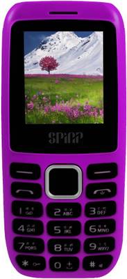 SPINP W20