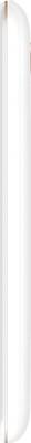 Intex Cloud 4G Star (White, 16 GB) 