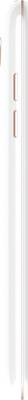 Intex Cloud 4G Star (White, 16 GB) 