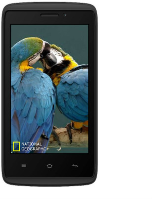 

Adcom Kitkat A40 PLUS 3G (Black, 512 MB)(256 MB RAM)