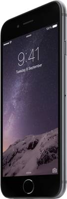 Apple iPhone 6 (Space Grey, 128 GB) 