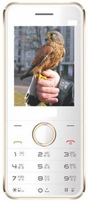 Micromax 913 X (Champaign) 