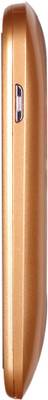 WHAM WS36 (Champagne, 2 GB) 