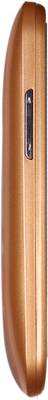 WHAM WS36 (Champagne, 2 GB) 