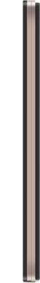 Lava X17 (Champagne & Gold, 8 GB)