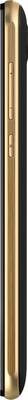 Intex Cloud 4G Smart (Black & Champagne, 8 GB) 