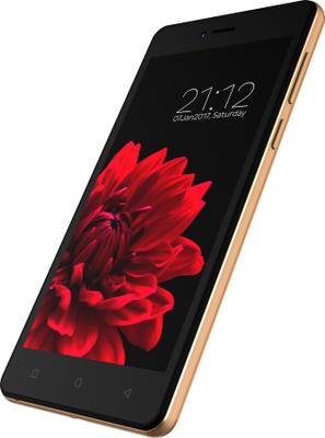 Zen Cinemax 4G (Rose &amp; Gold, 16 GB)