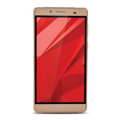iBall Andi 5N Dude (GOLD, 4 GB) 