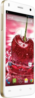 Lava Iris X1 (White and Gold, 16 GB)
