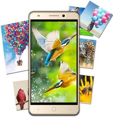 Intex Aqua Super (White+Silver, 16 GB) 