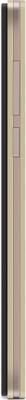 Lava X17 (Champagne & Gold, 8 GB)