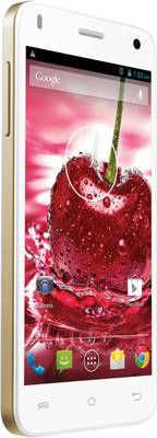 Lava Iris X1 (White and Gold, 8 GB)