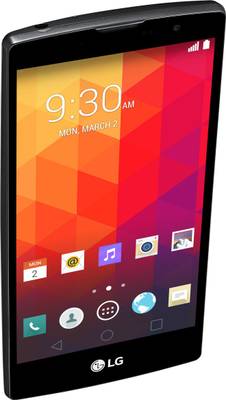 LG Magna (Black Titan, 8 GB) 